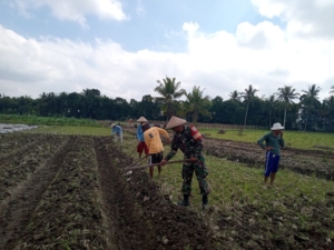 ‎Sertu Embang Hendra Yadi Ajak Poktan Sikur Barat Tingkatkan Koordinasi untuk Hasil Pertanian Berkualitas