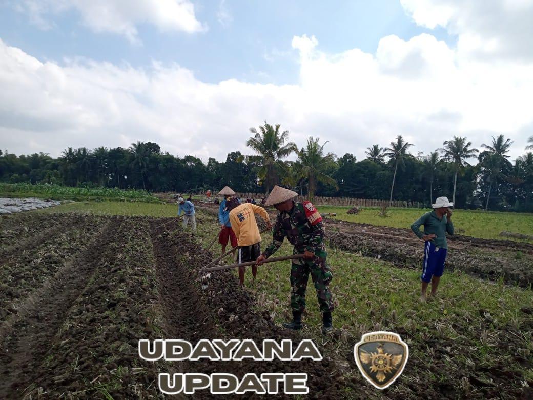 Sertu Embang Hendra Yadi Ajak Poktan Sikur Barat Tingkatkan Koordinasi untuk Hasil Pertanian Berkualitas