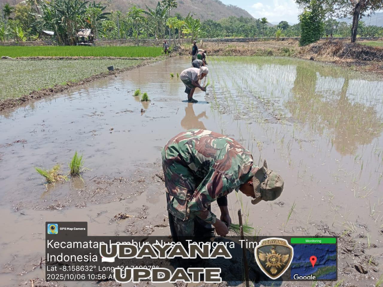 Wujud Nyata Dukungan TNI Terhadap Ketahanan Pangan di Kecamatan Lembur