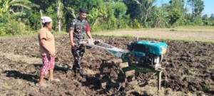 Dukungan Penuh TNI AD: Babinsa Sanggalangit Turun Tangan Bantu Petani Olah Tanah 50 Are untuk Ketahanan Pangan