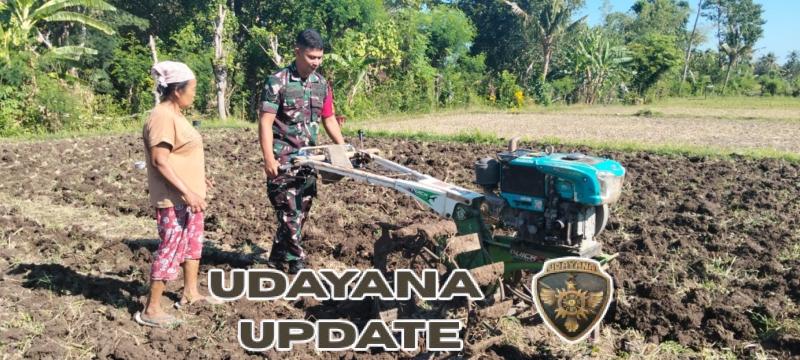 Dukungan Penuh TNI AD: Babinsa Sanggalangit Turun Tangan Bantu Petani Olah Tanah 50 Are untuk Ketahanan Pangan