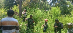 Babinsa Wolowaru Dampingi Tim CSR dan PPL Survei Lahan Cetak Sawah di Wolojita