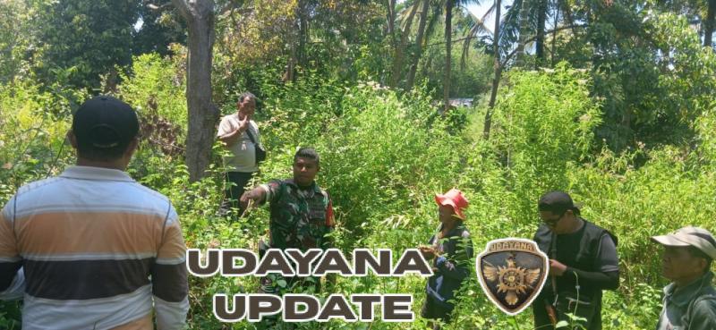 Babinsa Wolowaru Dampingi Tim CSR dan PPL Survei Lahan Cetak Sawah di Wolojita