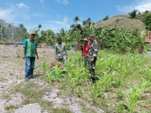 Tanam Nilai Kebersamaan, Babinsa Serma Okri Ingatkan Warga Ofu Jaga Keamanan dan Ketahanan Pangan