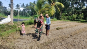 Babinsa Desa Bebalang Dampingi Petani dalam Program P2B untuk Wujudkan Ketahanan Pangan