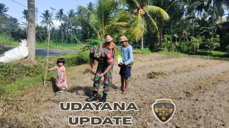 Babinsa Desa Bebalang Dampingi Petani dalam Program P2B untuk Wujudkan Ketahanan Pangan