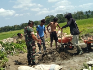 Babinsa Desa Desaloka Dampingi Pembuatan Irigasi Dukung Ketahanan Pangan Nasional