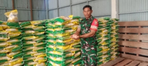CeK Beras SPHP Di Bulog, Babinsa Banjarangkan Tegaskan Stok Beras Aman Kualitas Baik