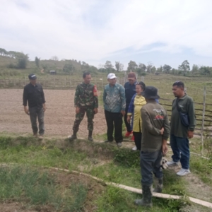 ‎Babinsa Ropang dan Petani Lantung Sinergi Bangun Pertanian Unggul