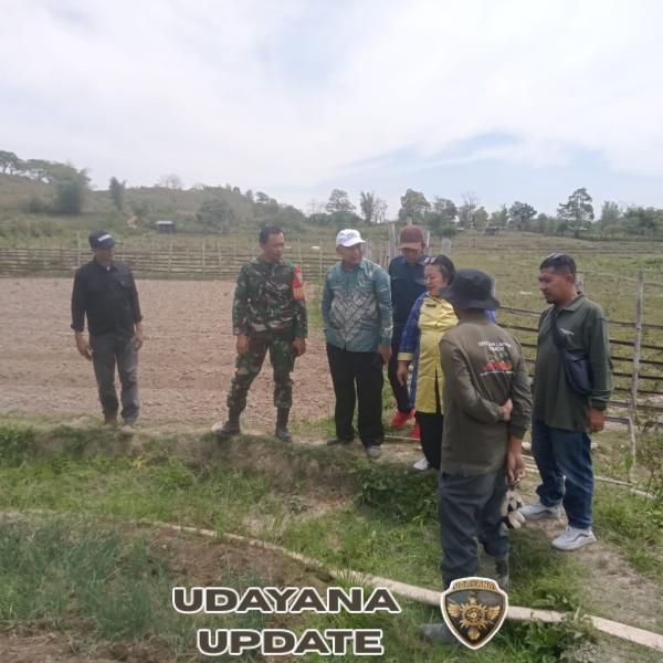 ‎Babinsa Ropang dan Petani Lantung Sinergi Bangun Pertanian Unggul