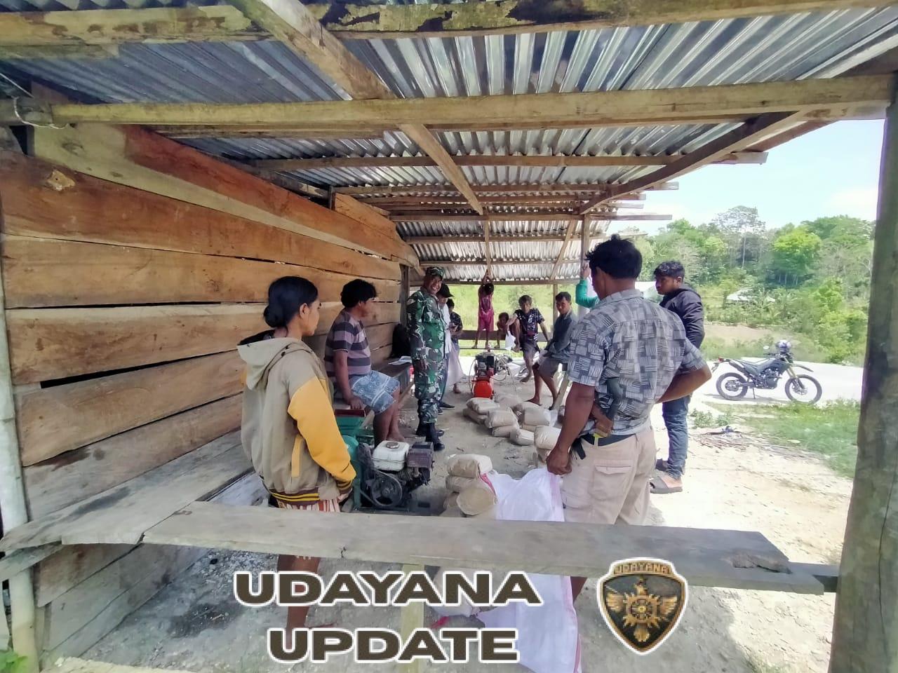 Babinsa Kodim 1613/Sumba Barat Dukung Program Ketahanan Pangan di Kecamatan Loli