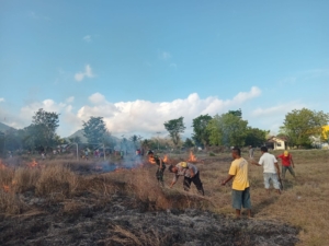 Kerja Bakti Bersama Babinsa, Masyarakat Desa Posiwatu Wujudkan Lapangan Bola Bersih