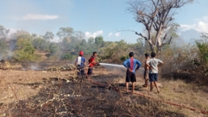 Babinsa 1623-08/Kubu Desa Tianyar Tengah bersama Damkar berjibaku padamkan api kebakaran lahan.