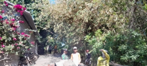 Babinsa Desa Joanyar Awasi Pemeliharaan Jalan di Dusun Kajanan Demi Kelancaran Mobilitas Warga