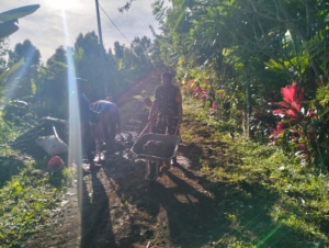 Babinsa Panji Anom Bersama Warga Laksanakan Gotong Royong Betonisasi Jalan di Dusun Abasan