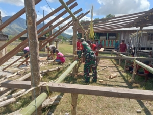 Babinsa Karera Bantu Warga Bangun Kawarung untuk Kegiatan Adat Kawin Mawin