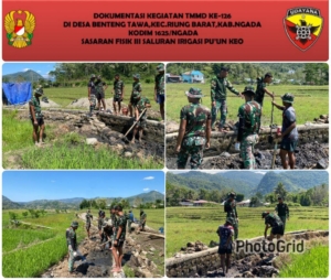 Hari ke-10 TMMD ke-126 Kodim 1625/Ngada, Pengecoran Irigasi Pu’un Keo Capai 45 Persen