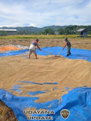 Kehadiran Babinsa Jadi Penyemangat Petani: TNI Tak Hanya Jaga Negara, Tapi Juga Sawah Rakya