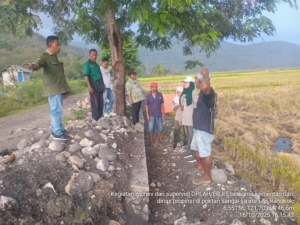 Tingkatkan Produktivitas Pertanian, Babinsa Maurole Aktif Kawal Saluran Irigasi di Desa Ranakolo