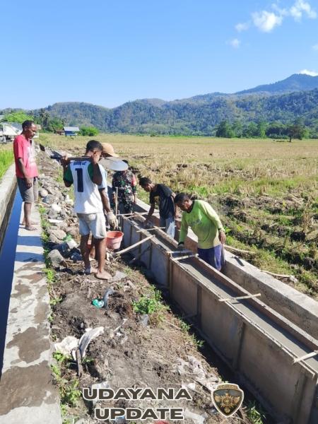 TNI dan Rakyat Bersatu: Babinsa Kodim 1602/Ende Gotong Royong Bangun Saluran Irigasi