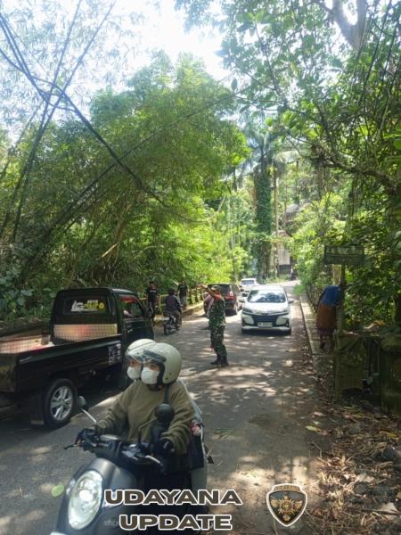 Babinsa Keliki Bersinergi dengan Pecalang Laksanakan Pembersihan Ranting Pohon