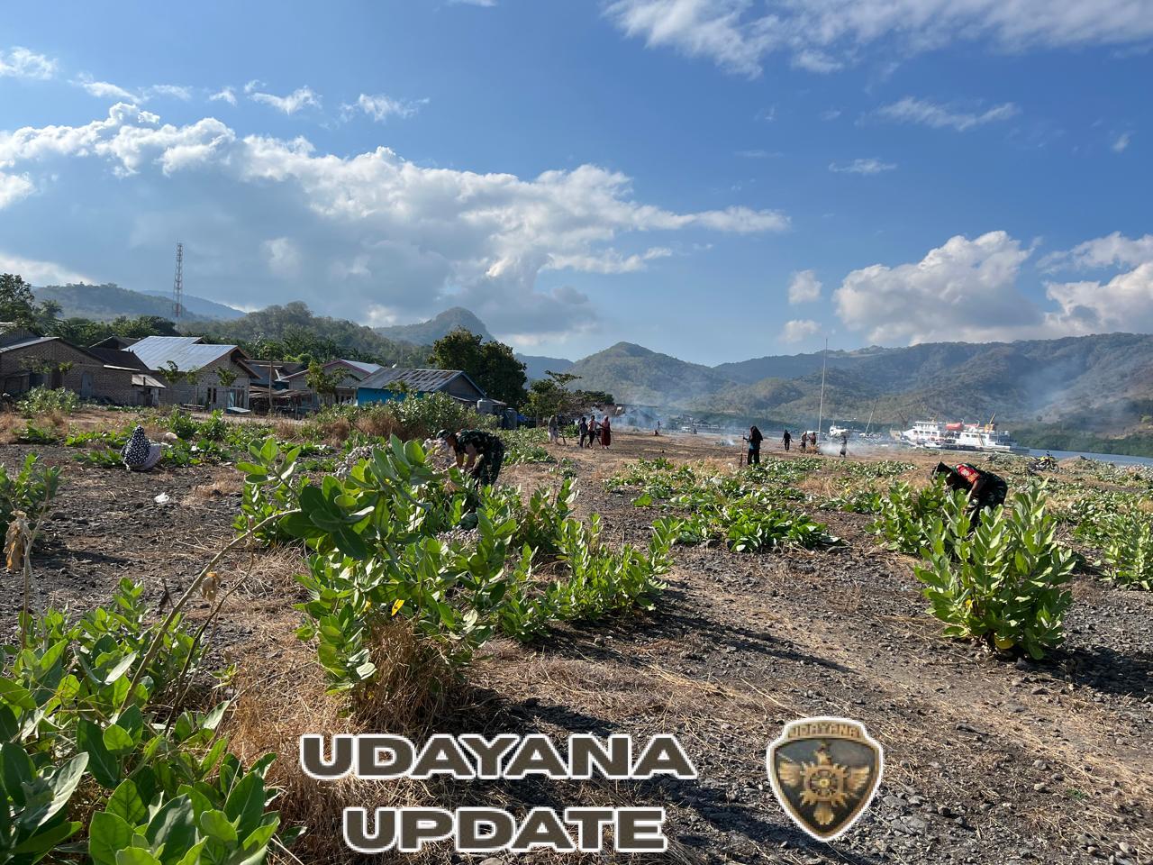 Babinsa Koramil 1624-04/Omesuri Bersama Warga Desa Balauring Laksanakan Karya Bakti dan Jalin Silaturahmi