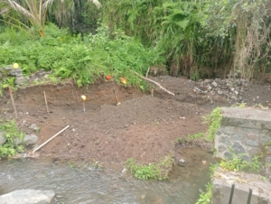 Tingkatkan pasokan air irigasi, Babinsa Desa Pering Sari pantau pembangunan Bendungan di Subak Umacetra.