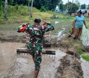 Pratu Denis Nderu Peta Dukung Petani Melalui Pendampingan Pengolahan Tanah di Tabundung