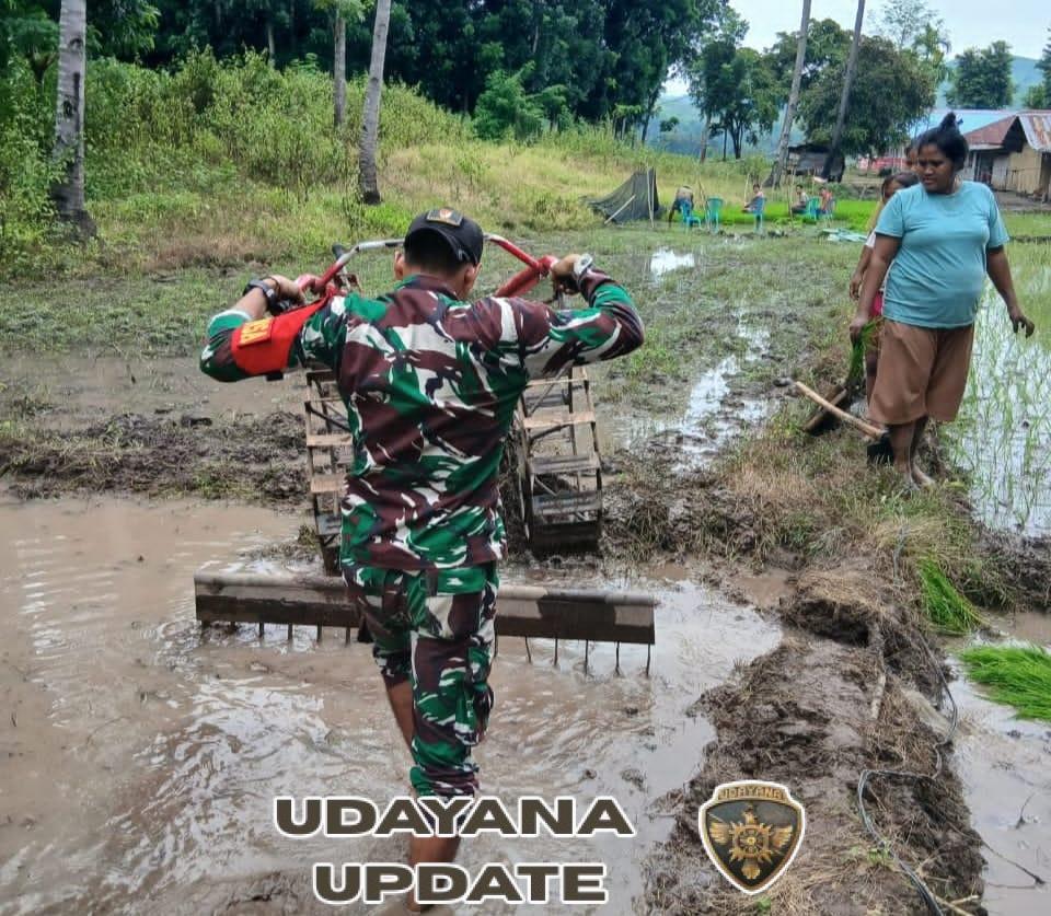 Pratu Denis Nderu Peta Dukung Petani Melalui Pendampingan Pengolahan Tanah di Tabundung
