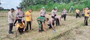 Sinergi TNI–Polri Dukung Ketahanan Pangan, Babinsa Tembuku Hadiri Kegiatan Penanaman Jagung Kuartal IV