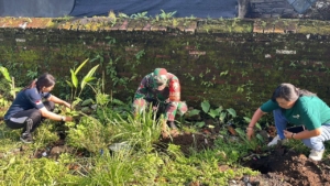Jaga Kelestarian Lingkungan, Babinsa Bersama Pemdes Nyalian Gelar Gotong Royong Dan Tanam Pohon