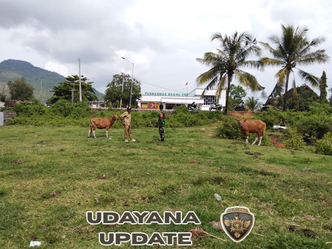 Wujudkan Ekonomi Mandiri, Babinsa dan Kades Manemeng Tinjau Lahan Koperasi Syariah