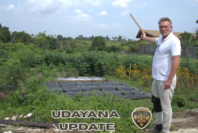 Philippe Millieret: “Saya Hanya Ingin Hidup Tenang di Bali, Tapi Julian Petroulas Mengubah Semuanya”