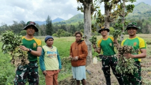 Wujud Kemanunggalan TNI, Pos Fatubesi Atas Turun ke Ladang Bantu Petani Perbatasan