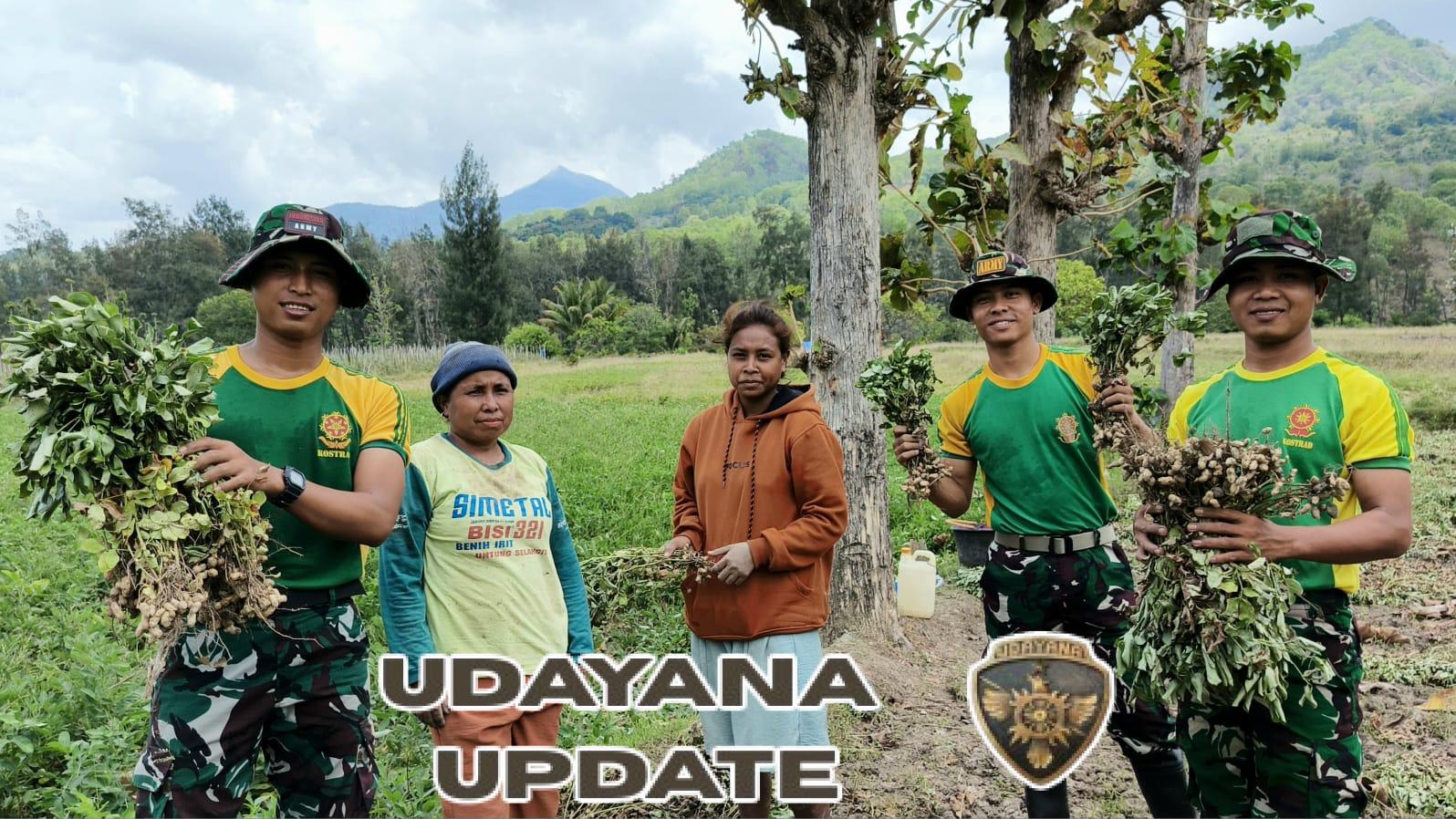 Wujud Kemanunggalan TNI, Pos Fatubesi Atas Turun ke Ladang Bantu Petani Perbatasan