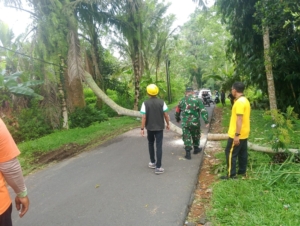 Babinsa Desa Selat dan Bhabinkamtibmas Sigap Amankan Jalur Lalu Lintas Akibat Pohon Tumbang