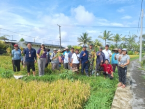 Babinsa Koramil 1616/06 Tegallalang Dorong Petani Wujudkan Swasembada Pangan