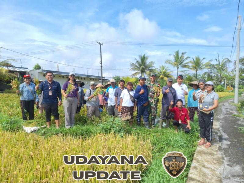 Babinsa Koramil 1616/06 Tegallalang Dorong Petani Wujudkan Swasembada Pangan