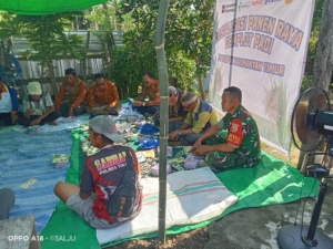 Babinsa Dompu Hadiri Sosialisasi Panen Raya Demplot Padi di Desa Bakajaya