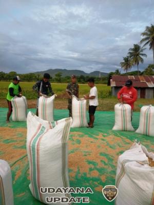 TNI Hadir untuk Petani: Babinsa Koramil 1612-02/Reok Dampingi Warga Wujudkan Swasembada Pangan