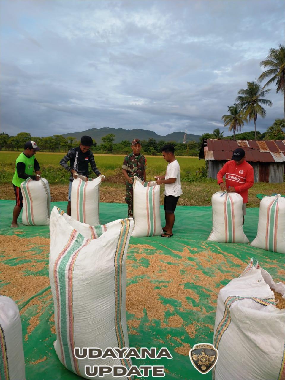 TNI Hadir untuk Petani: Babinsa Koramil 1612-02/Reok Dampingi Warga Wujudkan Swasembada Pangan