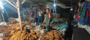 Melalui Patroli, Babinsa Lakukan Pengawasan Ekstra Di Kampung Tembakau Semoyang