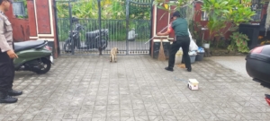 Wujud Kepedulian Bersama, Babinsa dan Bhabinkamtibmas Awasi Hewan Peliharaan untuk Cegah Rabies