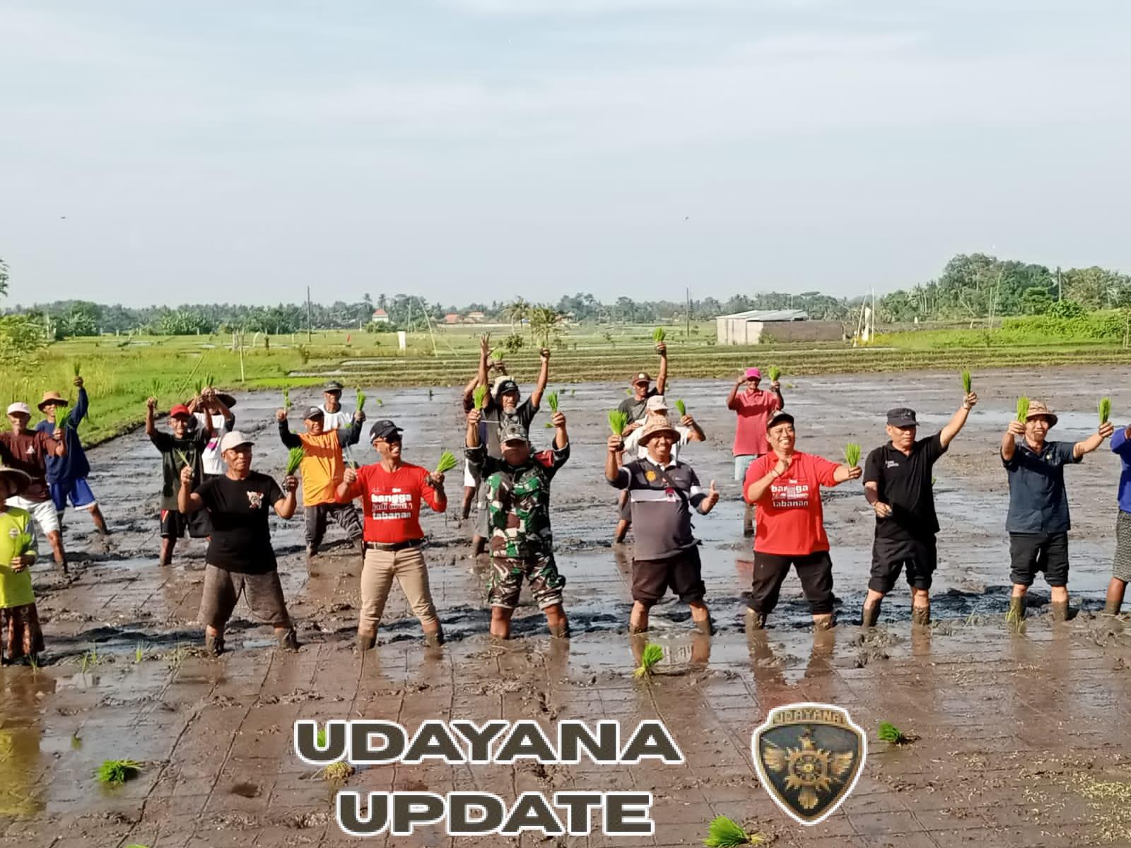 TNI Dukung Peningkatan Produksi Padi, Babinsa Pangkung Karung Hadiri Kegiatan Gerakan Tanam Padi Bersama