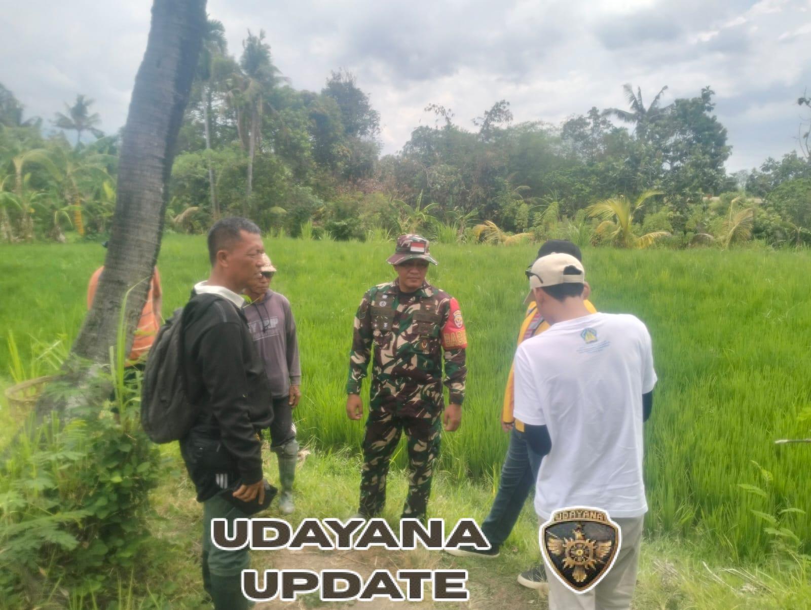 Sinergi Babinsa dan Tim PUPRKIM, Dorong Peningkatan Infrastruktur Pertanian di Jinengdalem