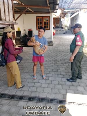 Sinergi TNI dan Dinas Peternakan, Cegah Rabies di Desa Rangdu