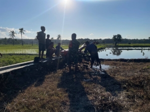 Wujud Dukungan Ketahanan Pangan, Babinsa Rindi Umalulu Bantu Petani Bajak Sawah