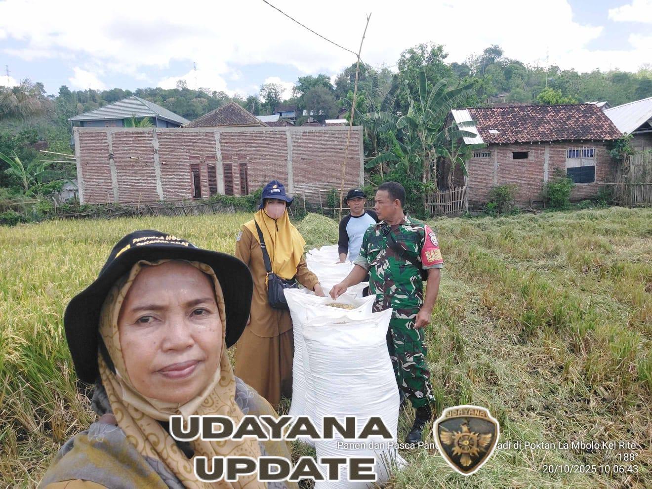 Kota Bima Siap Jadi Lumbung Padi Tahun 2025 dengan Panen Melimpah