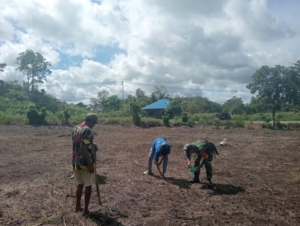 Babinsa Koramil 03/Katikutana Galang Komsos Lewat Kegiatan Pertanian