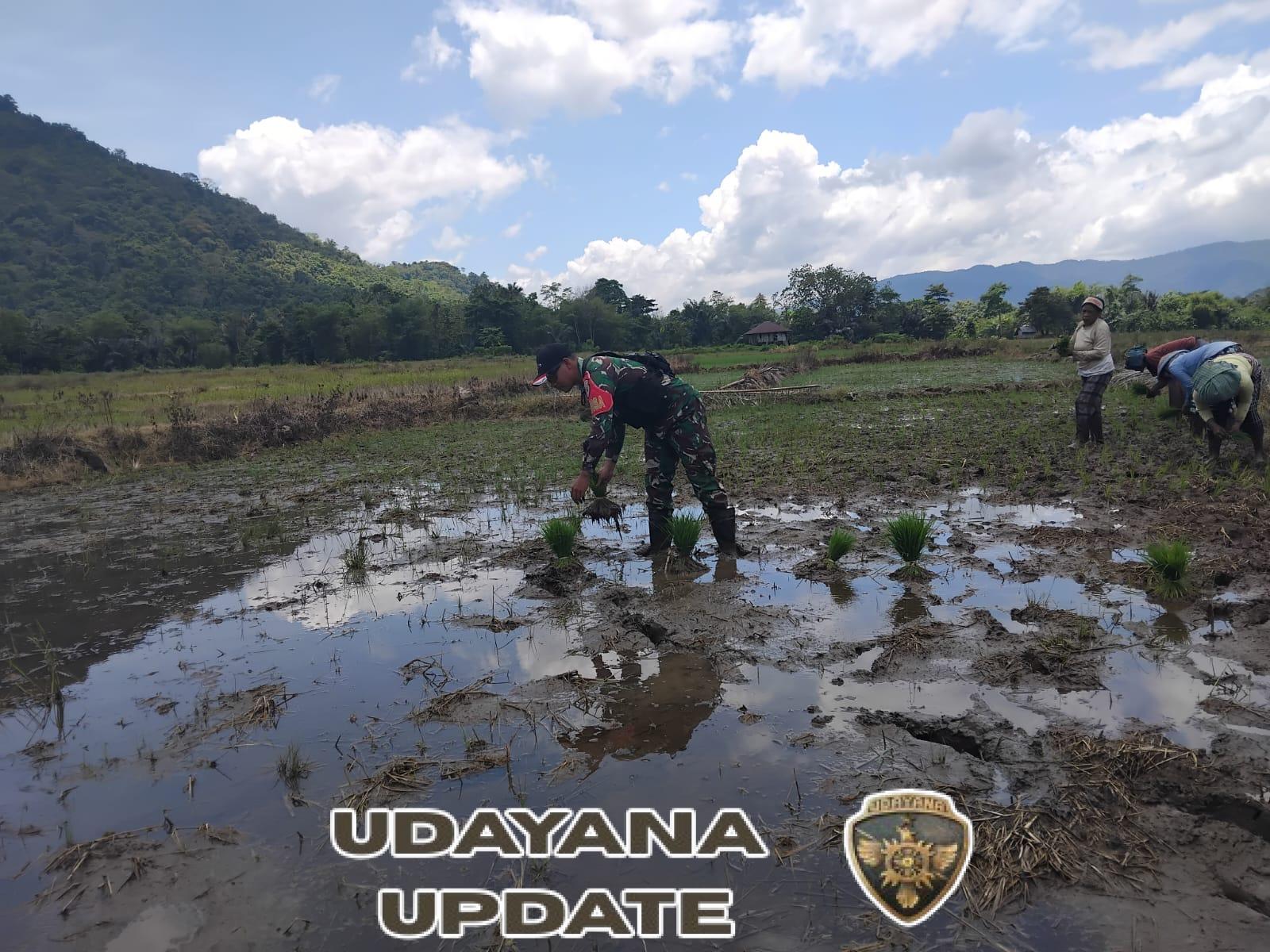 Edukasi Pertanian Berkelanjutan: Babinsa Berikan Dukungan kepada Petani di Dusun Wate
